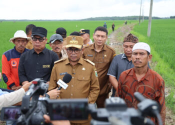 Gubernur Banten Andra Soni Tinjau Lokasi Program Jalan Usaha Tani