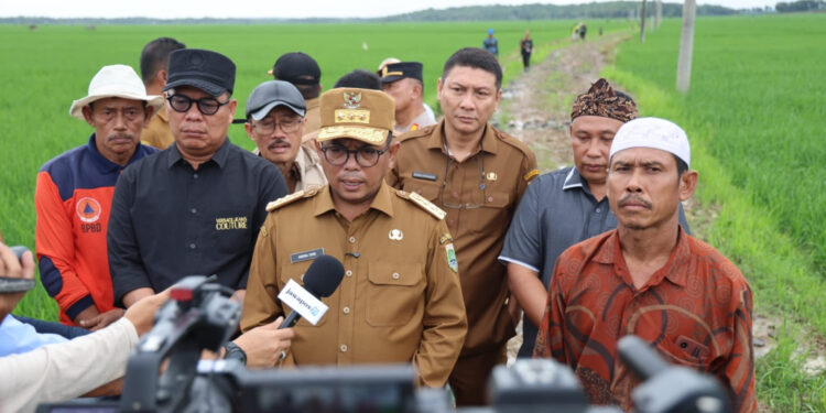 Gubernur Banten Andra Soni Tinjau Lokasi Program Jalan Usaha Tani